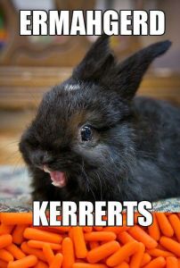 aa5573621148e167711ba2446d890be1